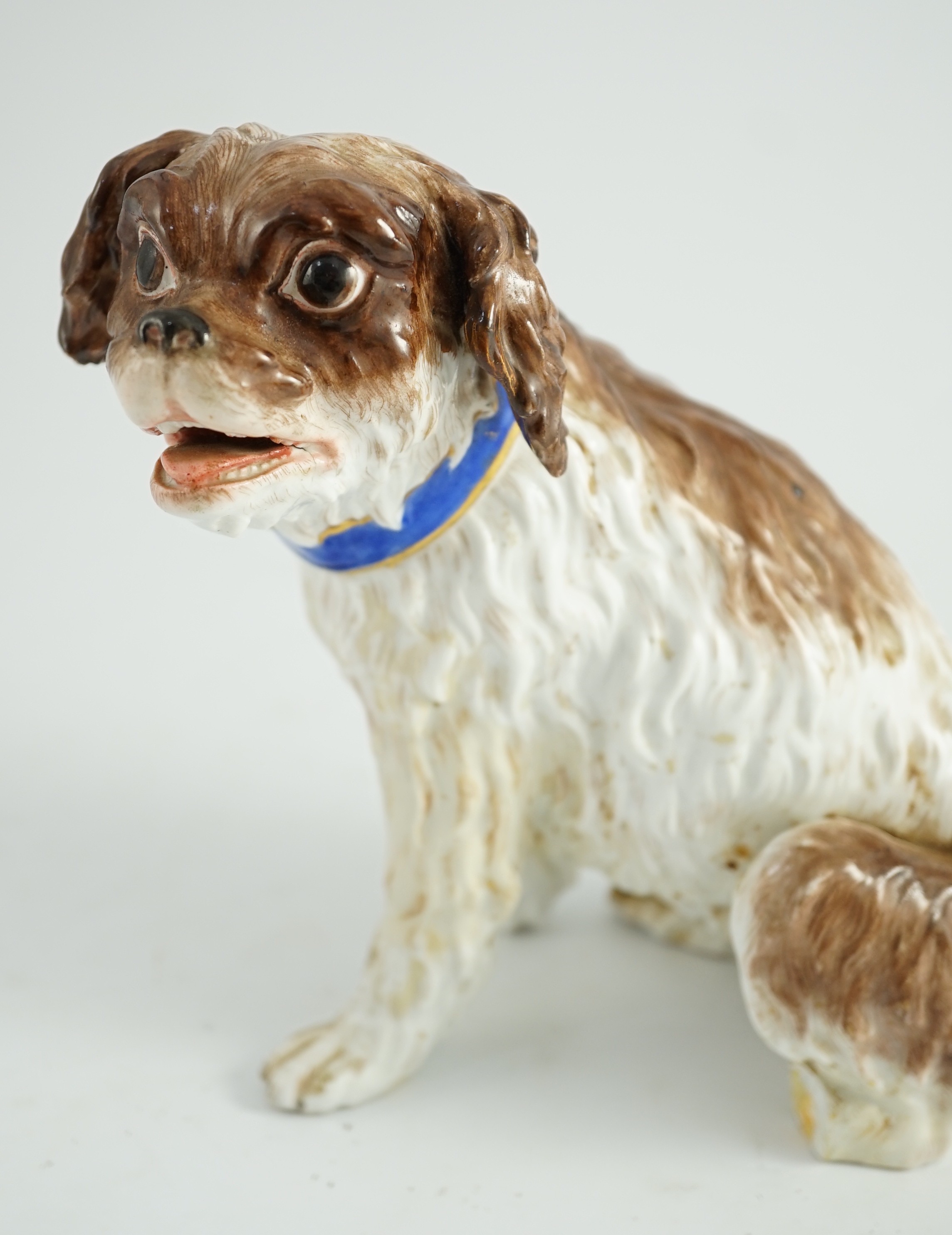 A Meissen seated figure of a German Wachtelhund (spaniel), 19th century, 19cm high, restoration and damage